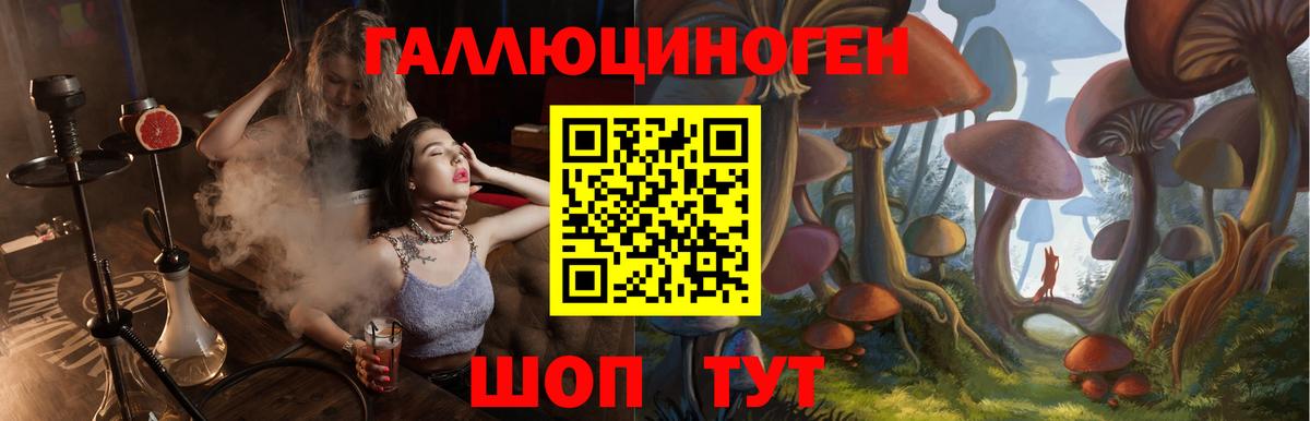 Ртищево  Псилоцибиновые грибы MAGIC MUSHROOMS  Вход с VPN  продажа наркотиков  Галлюциногенные грибы ЛСД 
