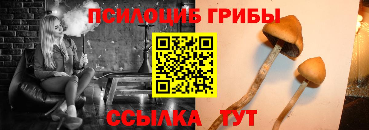 Галлюциногенные грибы ЛСД Ртищево